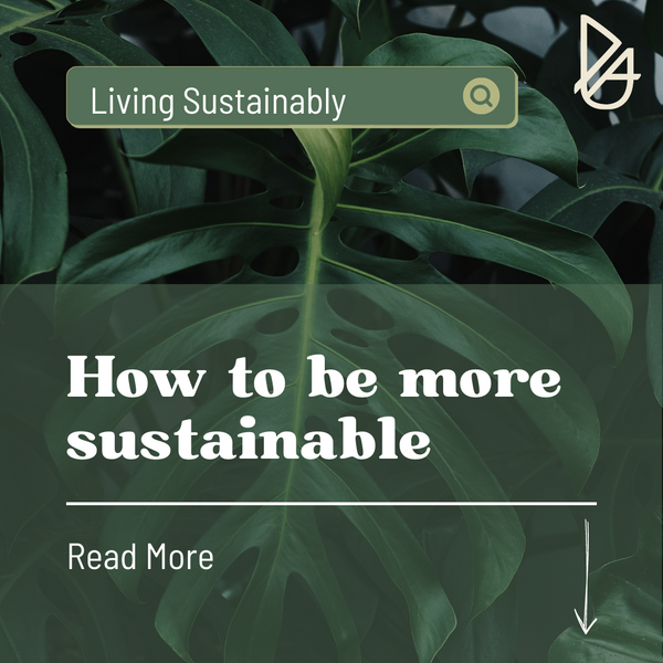 Sustainable Living: Simple Tips To Be Sustainable In Everyday Life